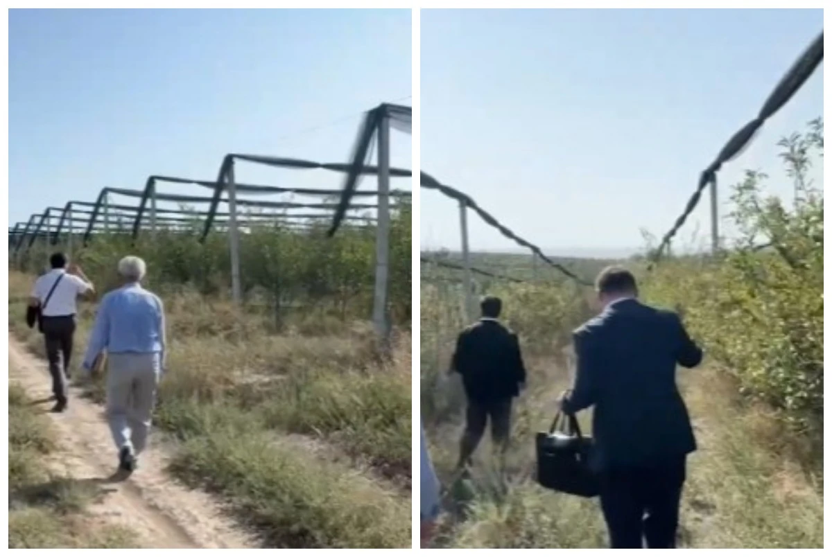 430 миллион теңге жымқырған