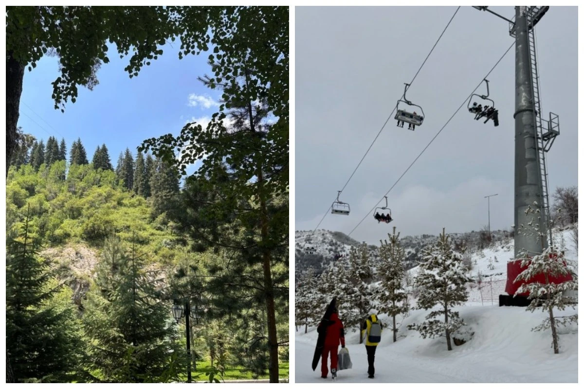 Демалыс Қымбат