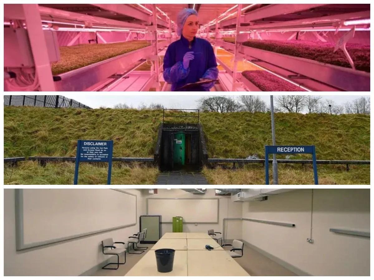 братания бункер