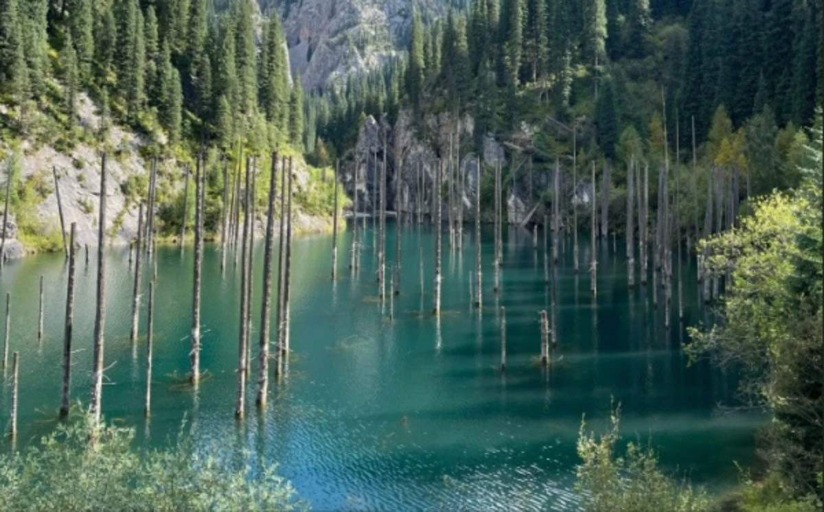 Қайыңды жол