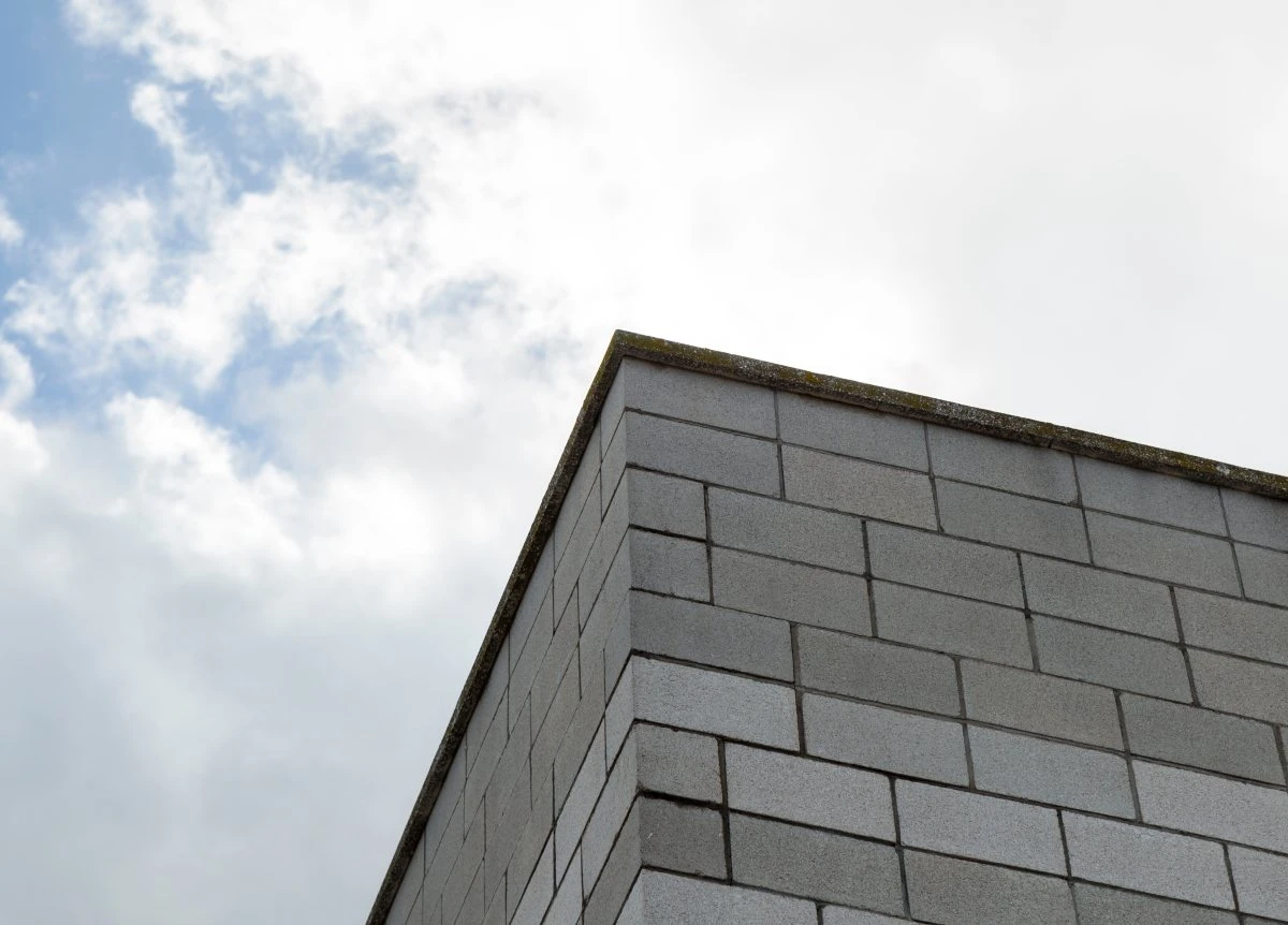 жігіт шатырға шығып шошытқан