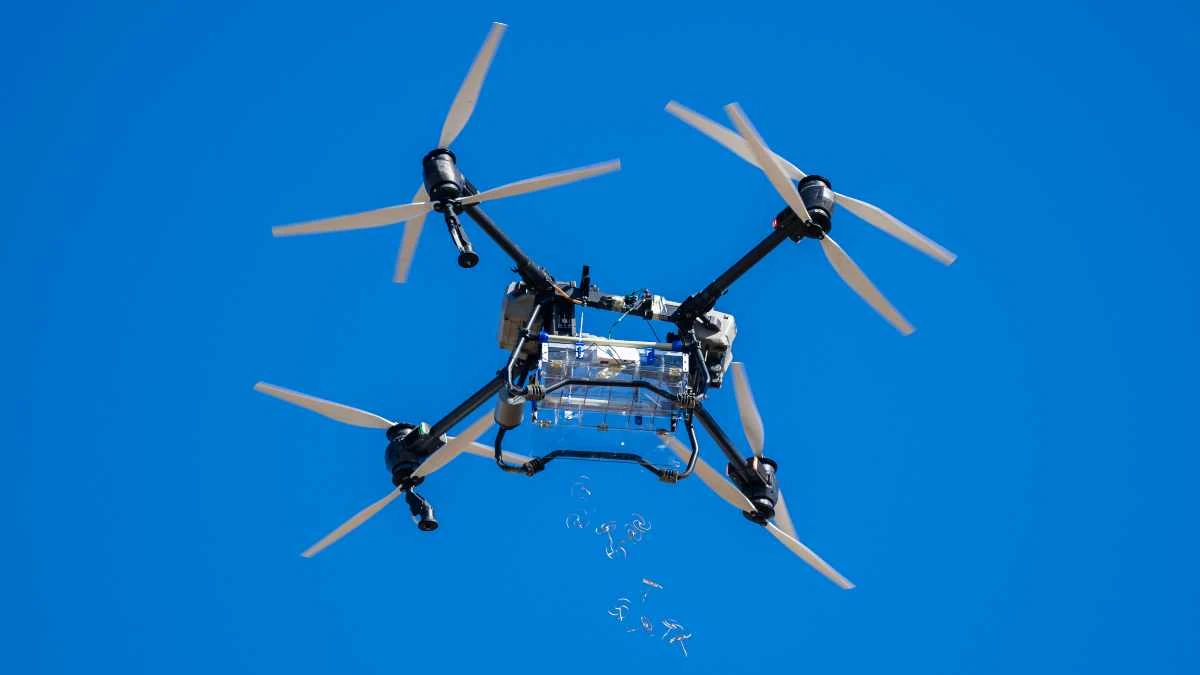 Болат Өтемұратов