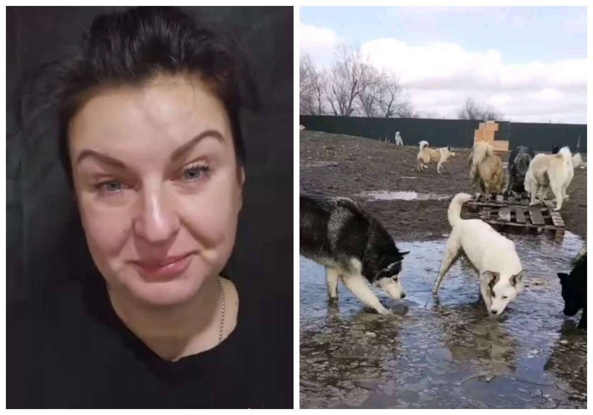 жануарлар паналайтын жерді тартып алған 