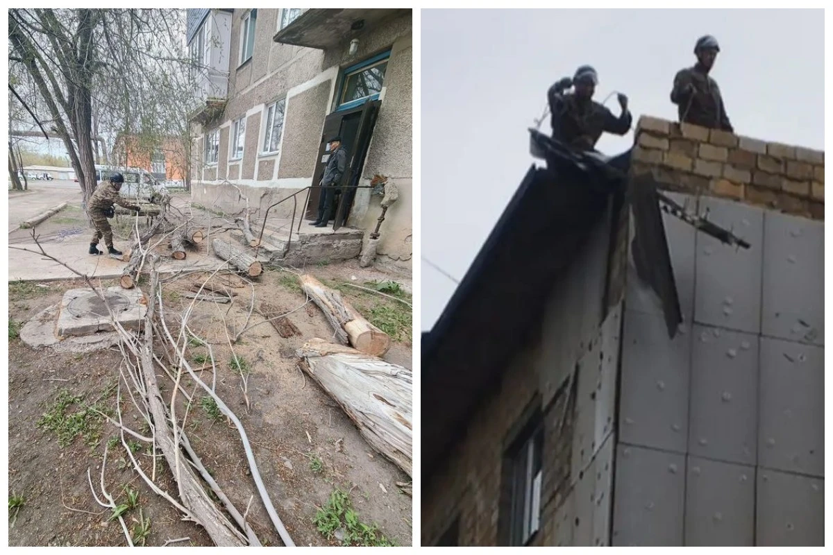 Ауа райы шатыр ағаш