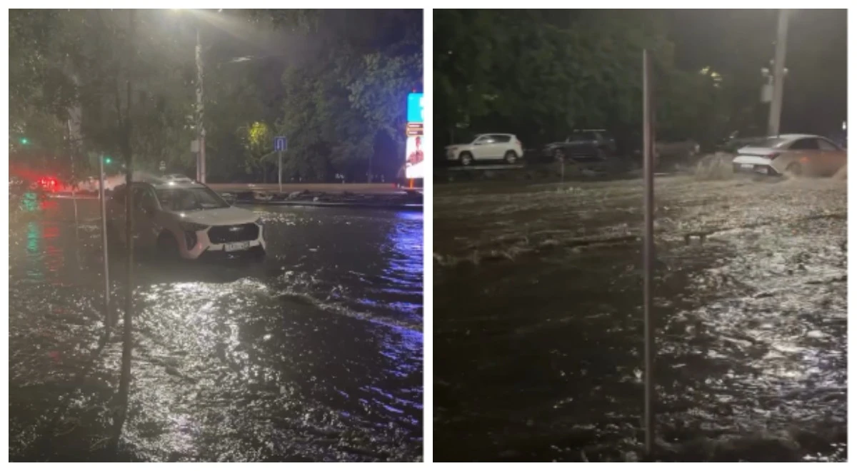 Алматыда көшелерді су басты