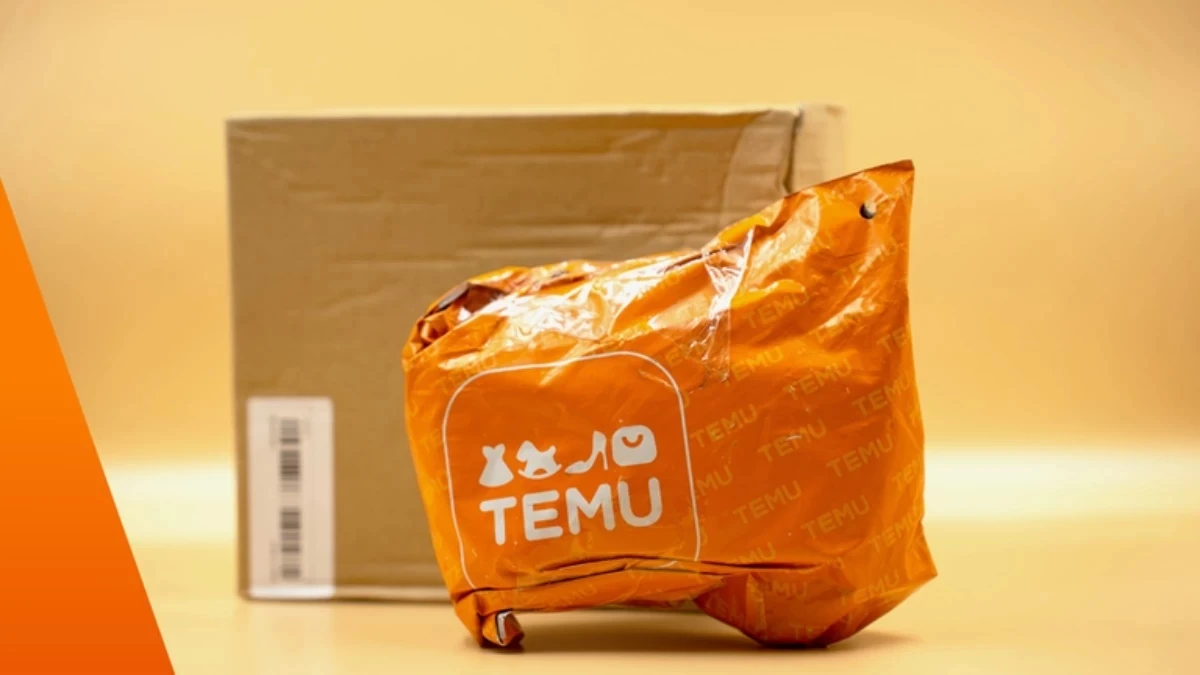 Temu айыппұл