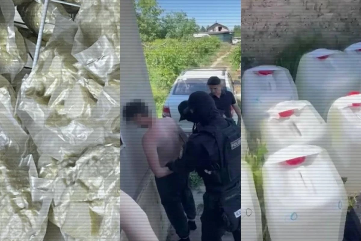 есірткі лабораториясы