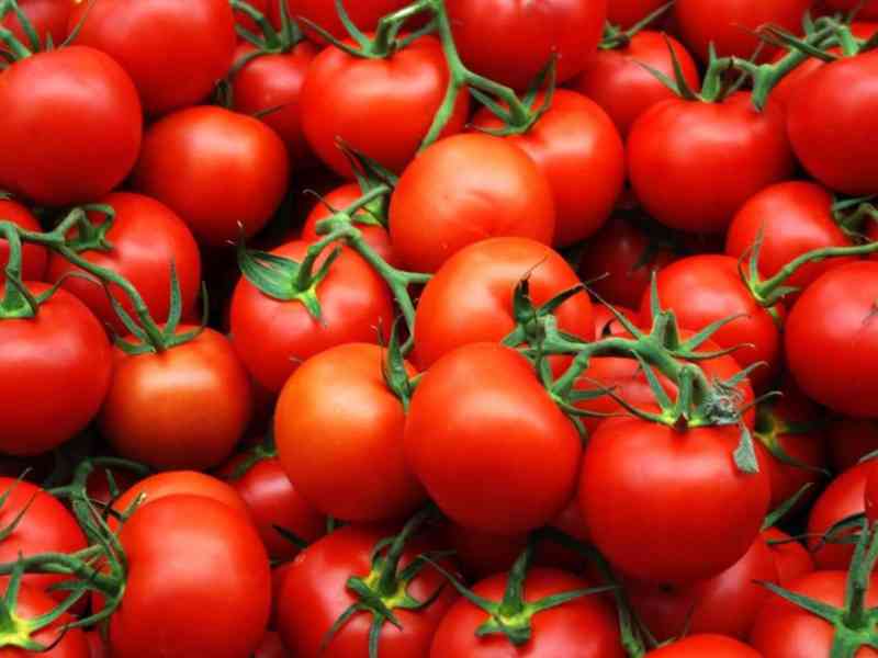 1469359288_pomidory