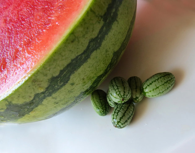 Several small cucamelons next to a large pink watermelon