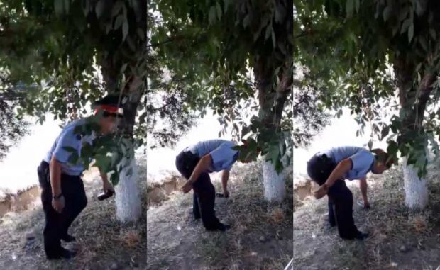 Түркістан облысында заңгер полиция қызметкеріне тастаған қоқысын өзіне көтертті (видео)