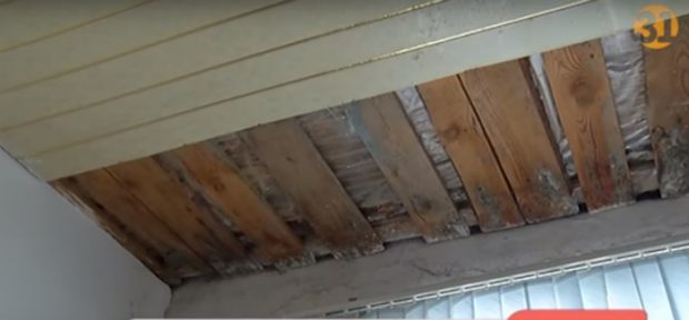 Атырау облысында тоғыз балалы отбасы адам төзгісіз жағдайда өлместің күнін кешіп отыр